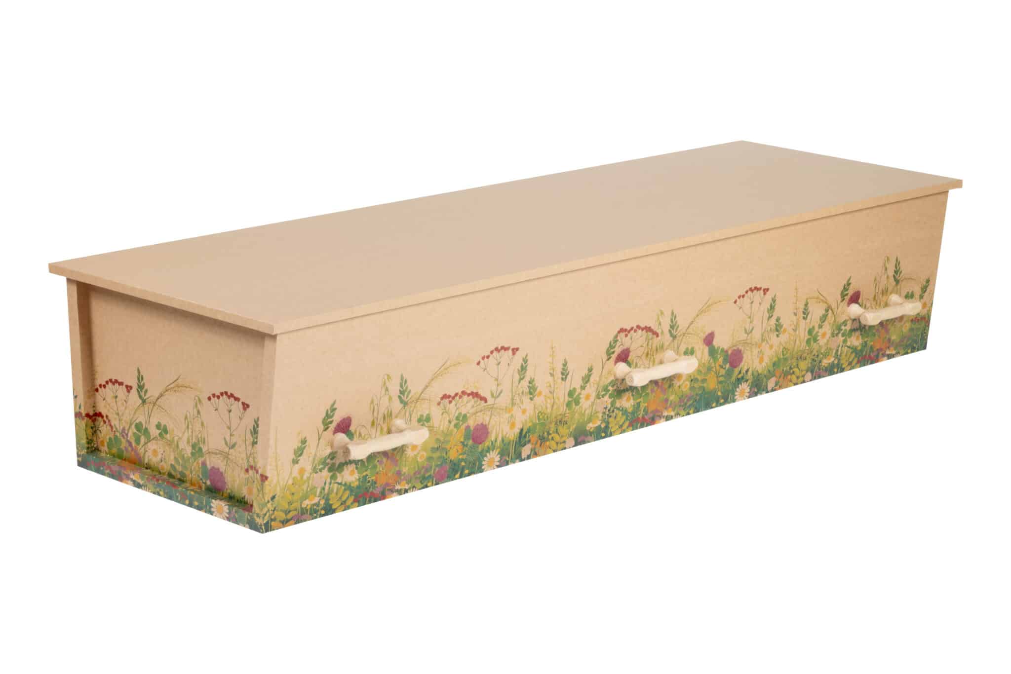 Brun orbit med blomstereng